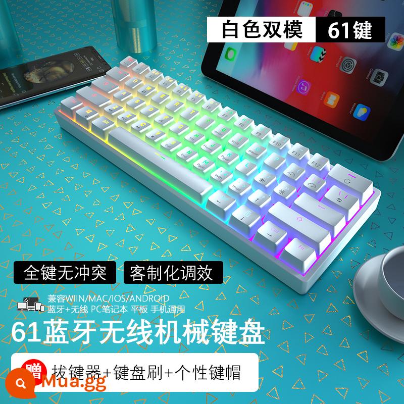 61 KEY KEY CƠ KHÍ Bàn phím không dây Bluetooth ba mã màu xanh lá cây màu đen Trà Trà Trà máy tính bảng Mini 68 Bàn phím - 61 phím-không dây hỗn hợp ánh sáng trắng (kết nối Bluetooth siêu liên kết có dây chế độ kép)