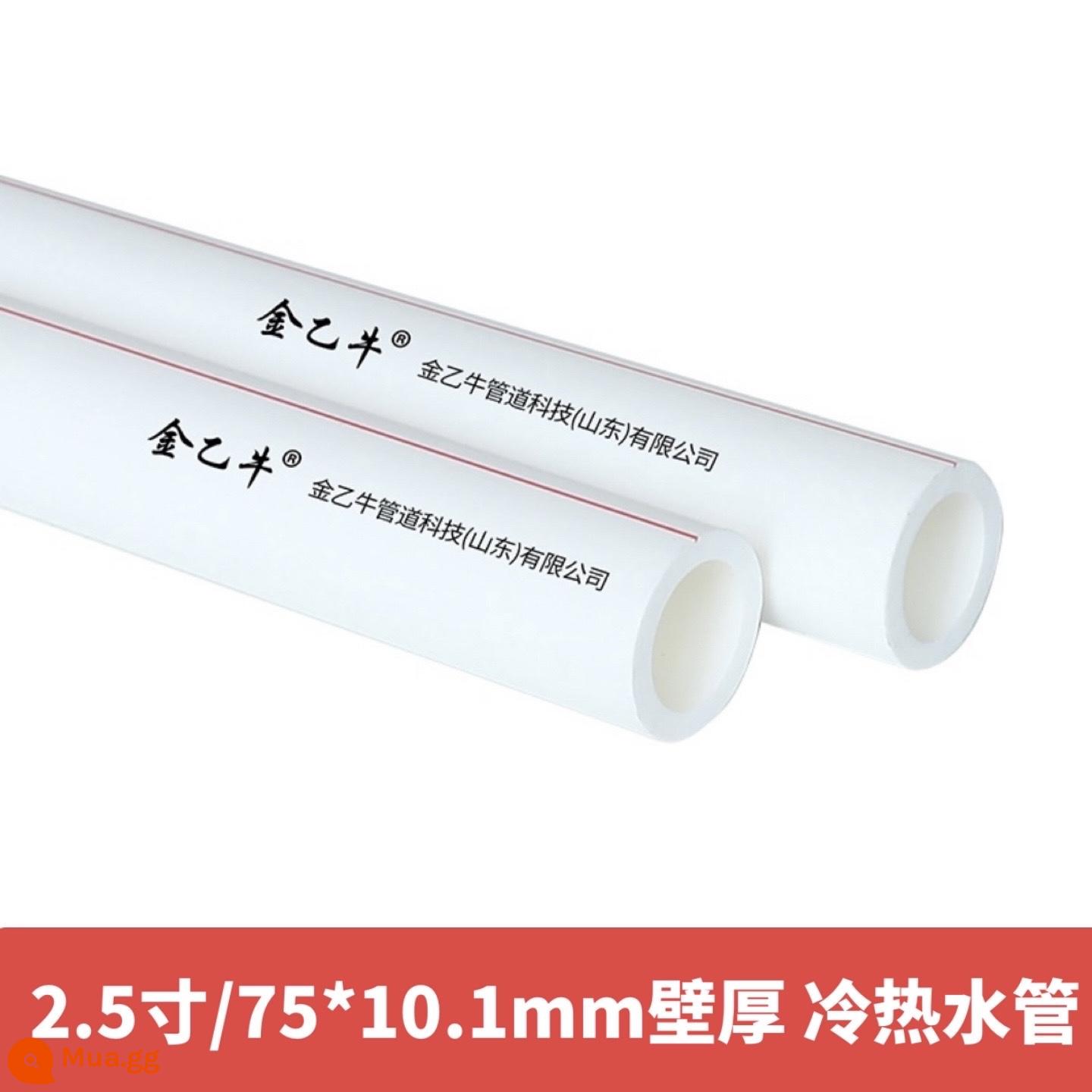 phụ kiện ống nước ppr 4 phút 20 ống nóng chảy 6 phút 25 hộ gia đình 32 sưởi ấm nước nóng lạnh vòi nước ppr ống ống - Giá trắng 2,5 inch/75 ống * độ dày thành 10,1mm (ống nóng và lạnh) giá mỗi mét