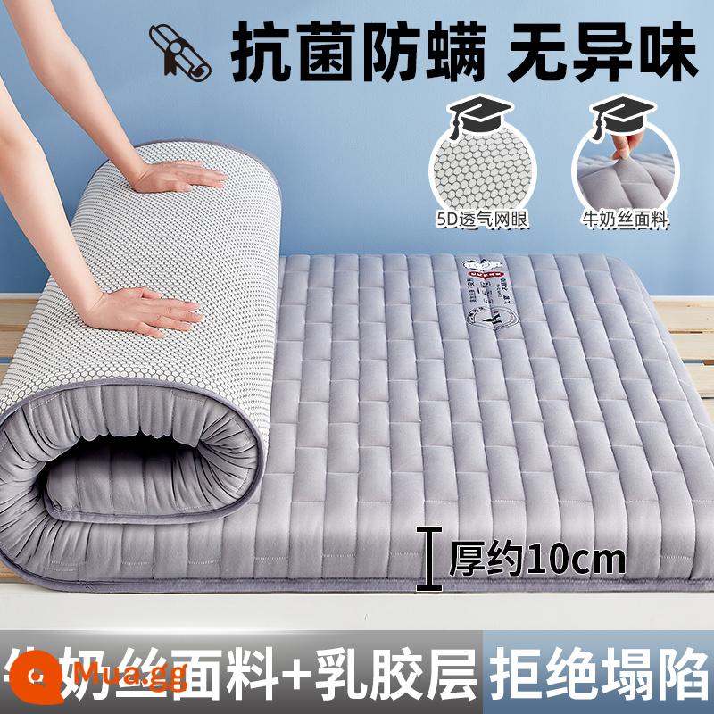 Nệm cao su đệm ký túc xá sinh viên đơn 90x190 trên và dưới bến ngủ thảm đánh sàn shop đặc biệt chăn ga gối đệm - Nệm cao su ✅Moon Dog Grey - dày khoảng 10cm [kiểu lụa sữa nâng cấp + Vải kháng khuẩn, chống mạt loại A]