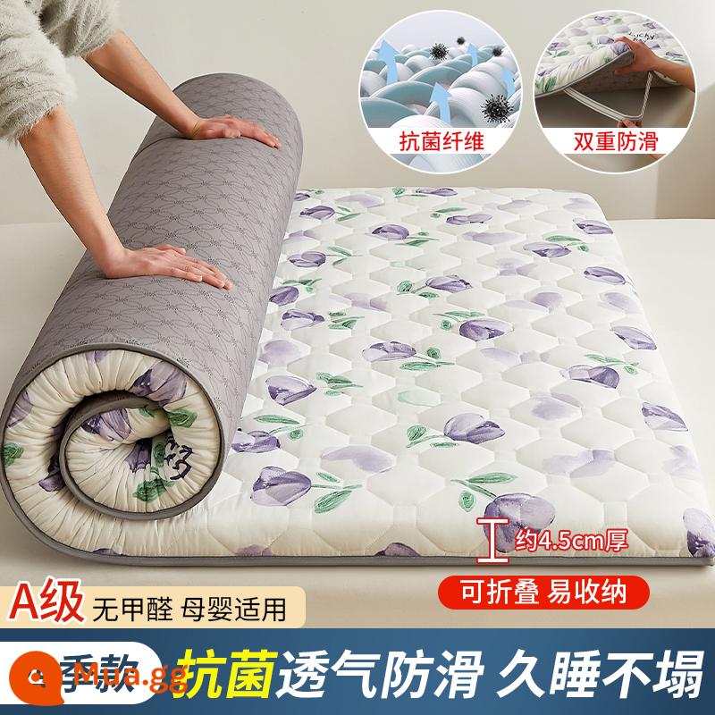 Nệm đệm mềm hộ gia đình ký túc xá sinh viên nệm đơn thảm tatami xốp thảm thuê sàn đặc biệt thảm ngủ - [❌Bốn mùa] Hoa tulip tím - dày khoảng 4,5cm [Loại A dành cho bà mẹ và trẻ sơ sinh thoáng khí và chống ẩm]