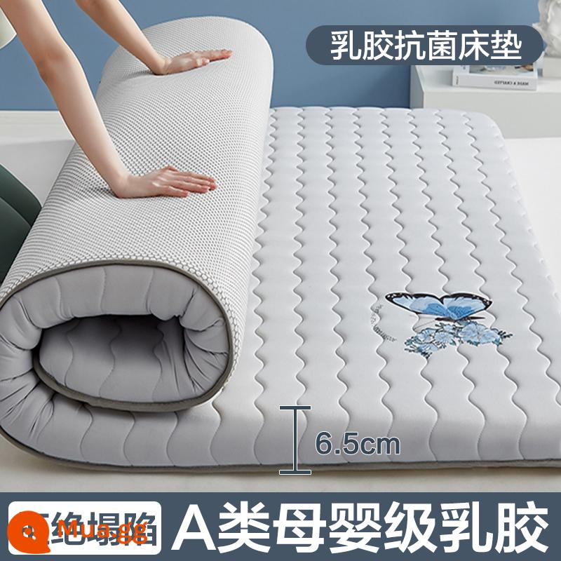 Nệm cao su đệm nhà tatami mat chăn dày ký túc xá sinh viên đơn miếng bọt biển cho thuê đặc biệt mat chăn - (Độ dày: khoảng 6.5cm) Màu xám bướm [Áo công nghiệp 5 lớp mủ siêu dày + Vải kháng khuẩn, chống mạt loại A]