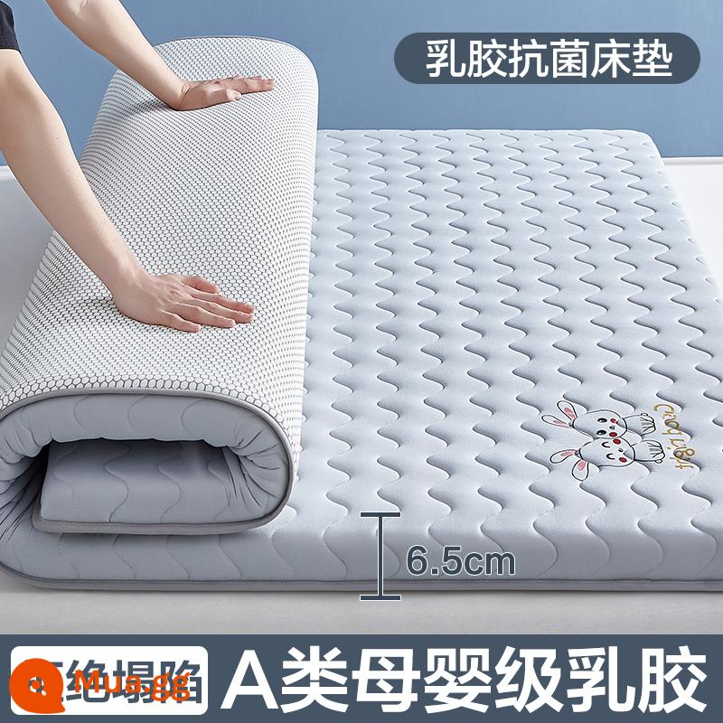 Nệm cao su đệm nhà tatami mat chăn dày ký túc xá sinh viên đơn miếng bọt biển cho thuê đặc biệt mat chăn - (Dày khoảng 6.5cm) Thỏ Dễ Thương - Xám [Áo công nghiệp 5 lớp mủ siêu dày + Vải kháng khuẩn, chống mạt loại A]