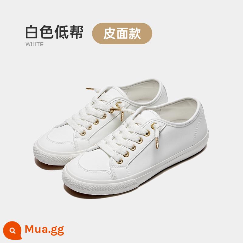 Rockfish Giày Vải Nữ Mùa Hè Slip-On Thoáng Khí Phẳng Thể Thao Nữ Trắng Giày Sneaker Nữ Người Mẫu - Da cá vàng nhỏ màu trắng