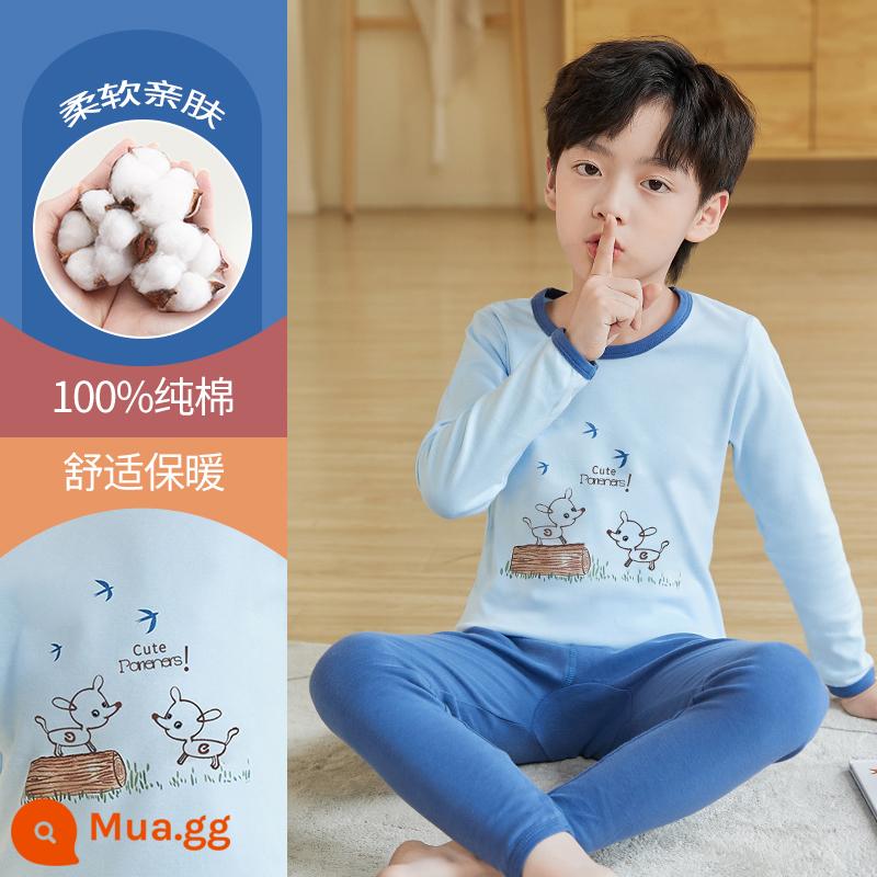 Quần áo mùa thu và quần vệ sinh cho bé trai Bộ quần áo lót mùa thu đông cho trẻ em lớn áo len cotton nguyên chất cho trẻ em Bộ đồ ngủ bằng cotton nguyên chất cho bé trai - DNY399 xanh #5N