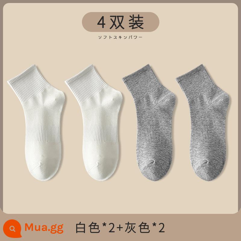 Vớ trắng nữ giữa ống tất thu đông cotton nguyên chất ins triều màu đen mùa đông thể thao cặp đôi vớ nam - 2 trắng + 2 xám [4 đôi]