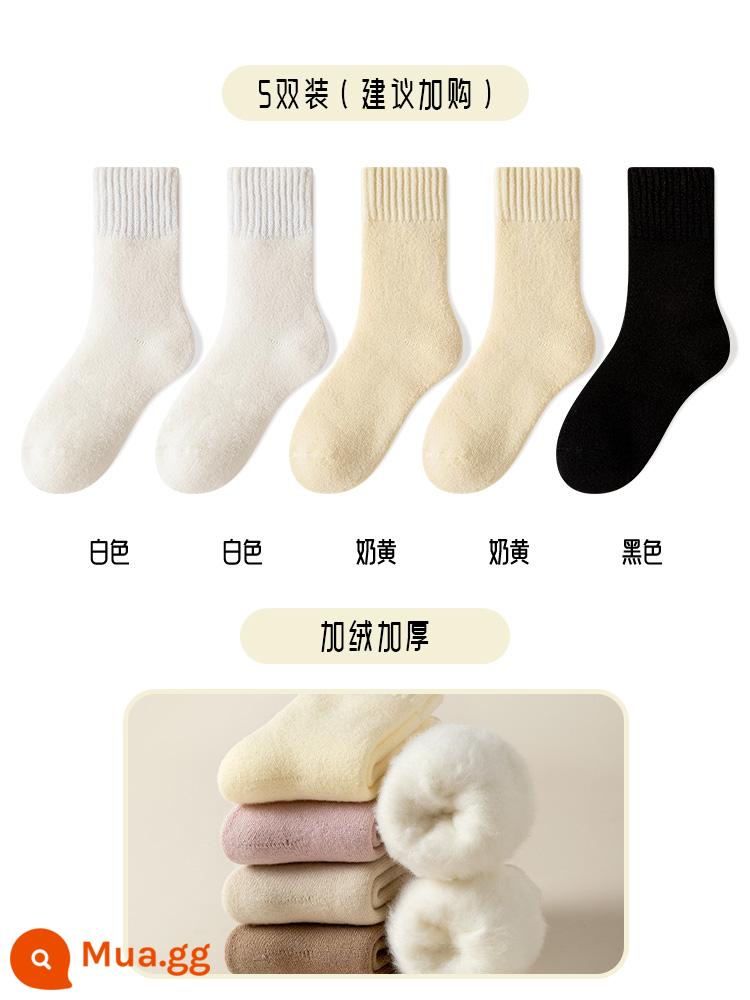 Tất cashmere, tất dành cho phụ nữ, tất dài đến giữa bắp chân vào mùa thu đông sau sinh, cùng với tất ngủ dày nhung, tất đi sàn ống dài sang trọng - 2 trắng + 2 kem + đen