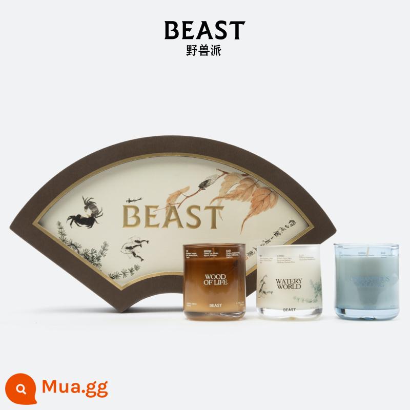 THEBEAST Tàn Bạo Mùa Thu Hương Nhỏ Quạt Hộp Quà Tặng Phòng Ngủ Hương Thơm Bộ Nến Thơm Quà Cưới - Mùa thu sang, hộp quà quạt hương nhỏ 70*3 (hoa ô long/vạn vật thủy sinh/gỗ sinh mệnh)