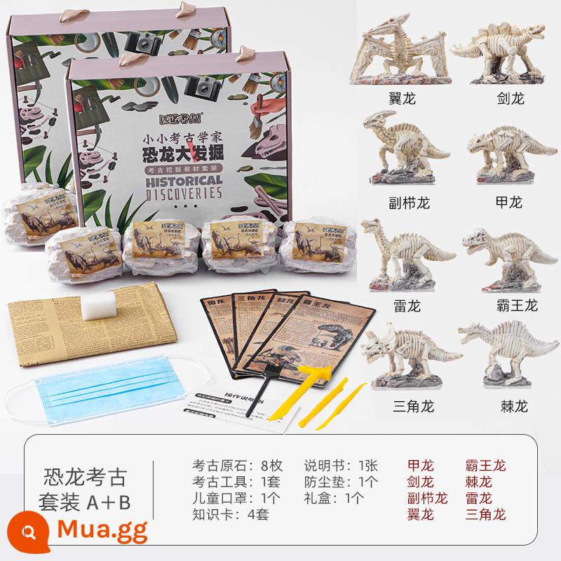 Hóa thạch khủng long khai quật khảo cổ đồ chơi trẻ em handmade tự làm Tyrannosaurus rex cậu bé săn tìm kho báu đào đá quý kho báu mù hộp - Bộ sưu tập hóa thạch khủng long hoàn chỉnh với tổng cộng 8 mảnh