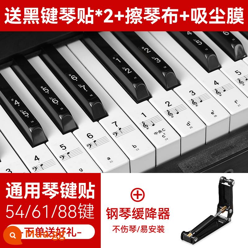 Nano Đàn Piano Miếng Dán Bàn Phím 88/61/54 Phím Bàn Phím Điện Tử Đa Năng Bàn Phím Điện Tử Mới Bắt Đầu Trẻ Em Ký Hiệu Âm Nhạc Note Miếng Dán - Miếng dán phím đàn piano không keo nano + quà tặng + thiết bị hạ đàn piano