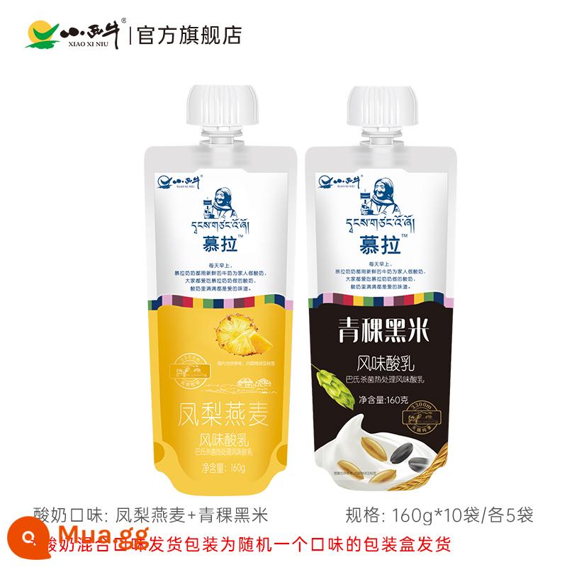 Quảng Minh Xiaoxi Niu Qinghai sữa chua nhiệt độ phòng probiotic phô mai yến mạch lúa mạch cao nguyên sữa chua hoa quả 160g * 10 túi - 5 túi gạo đen lúa mạch vùng cao và yến mạch dứa