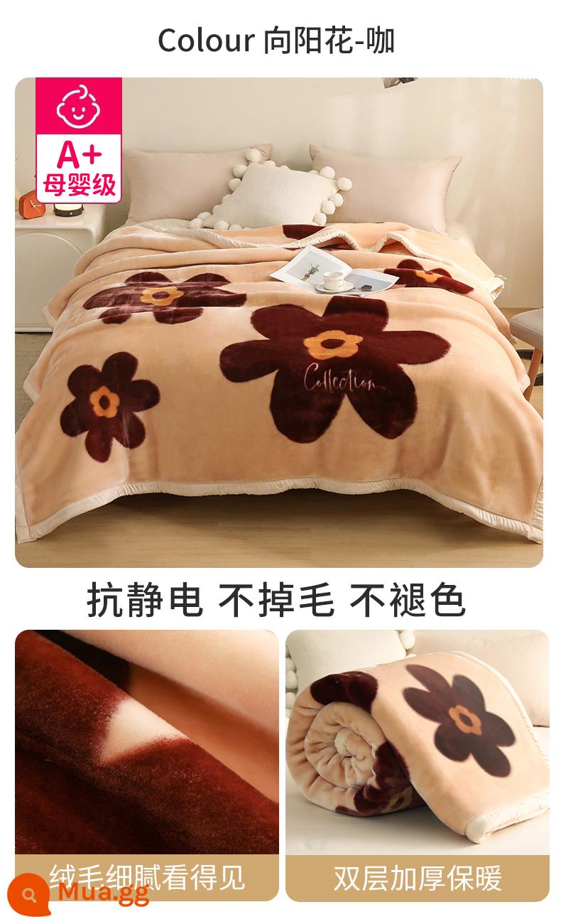 Raschel chăn dày mùa thu và mùa đông san hô ấm flannel chăn đơn ký túc xá sinh viên giường với chăn - Sunflower-Ca [Bộ đồ giường dày hai lớp, đa năng]