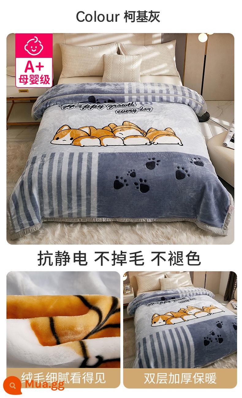 Raschel chăn dày mùa thu và mùa đông san hô ấm flannel chăn đơn ký túc xá sinh viên giường với chăn - Corgi màu xám [bộ đồ giường dày gấp đôi, đa năng]