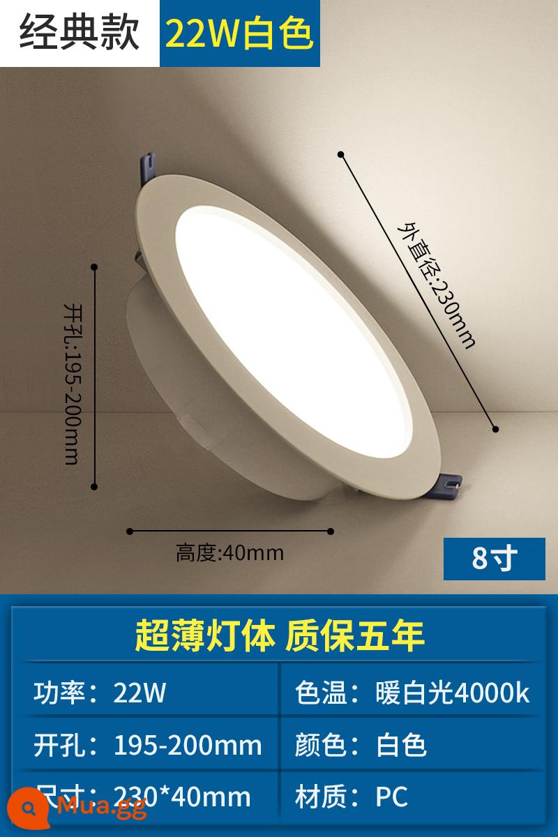 Op Đèn LED Âm Trần Downlight Nhúng Hộ Gia Đình Âm Trần Đèn Phòng Khách Nòng Đèn 4/6W Khoan 7.5 Cm Lỗ Ánh Sáng Lỗ Ánh Sáng - Trắng (cổ điển) 22W khoan 19,5-20 cm - ánh sáng trắng ấm 4000K