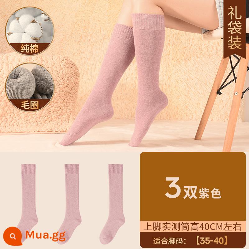 Henngyuanxiang Vớ bông nguyên chất Mùa thu và mùa đông ấm áp và nhung, mùa đông Dothoran Anti -cotton TOCT SOCKS - [Áo cao cấp nữ] nhung dày - 3 đôi màu tím