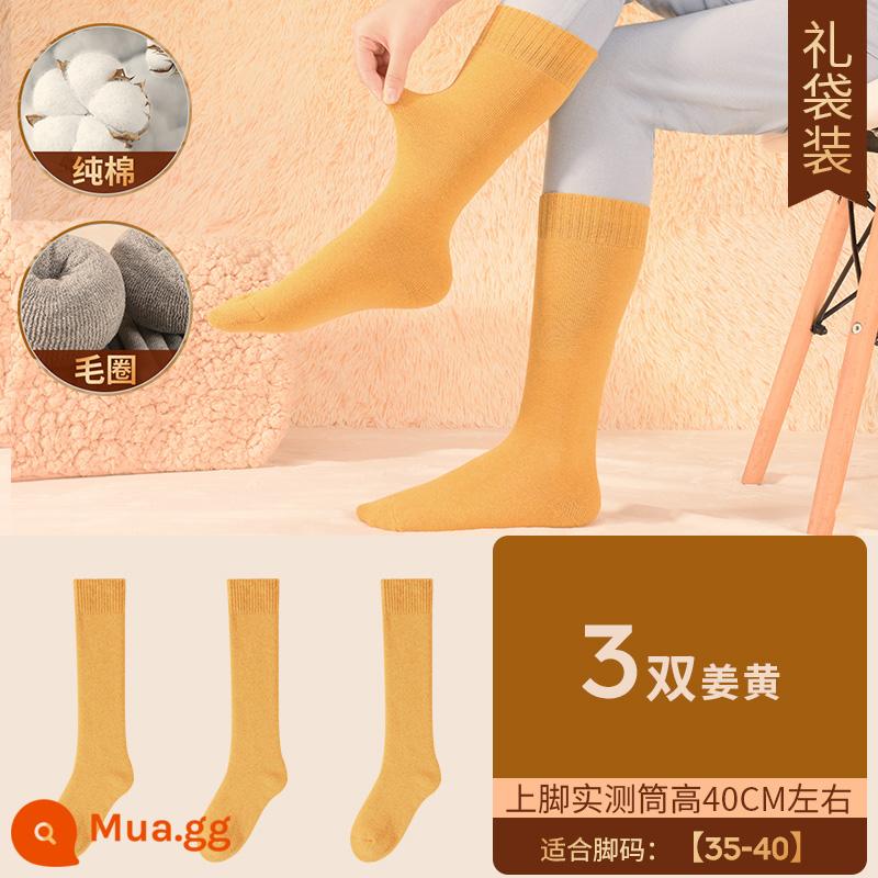 Henngyuanxiang Vớ bông nguyên chất Mùa thu và mùa đông ấm áp và nhung, mùa đông Dothoran Anti -cotton TOCT SOCKS - [Áo cao cấp nữ] dày nhung - 3 đôi củ nghệ