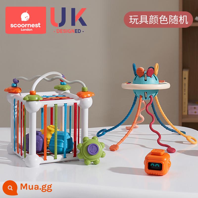 Kechao Baby Đồ Chơi Xếp Hình Hand Fine UFO Lalale 3 Xếp Hình Cho Bé 0-1 Tuổi Giáo Dục Sớm 6 Tháng - Baldoni A3+Cesele (người ngoài hành tinh bí ẩn)