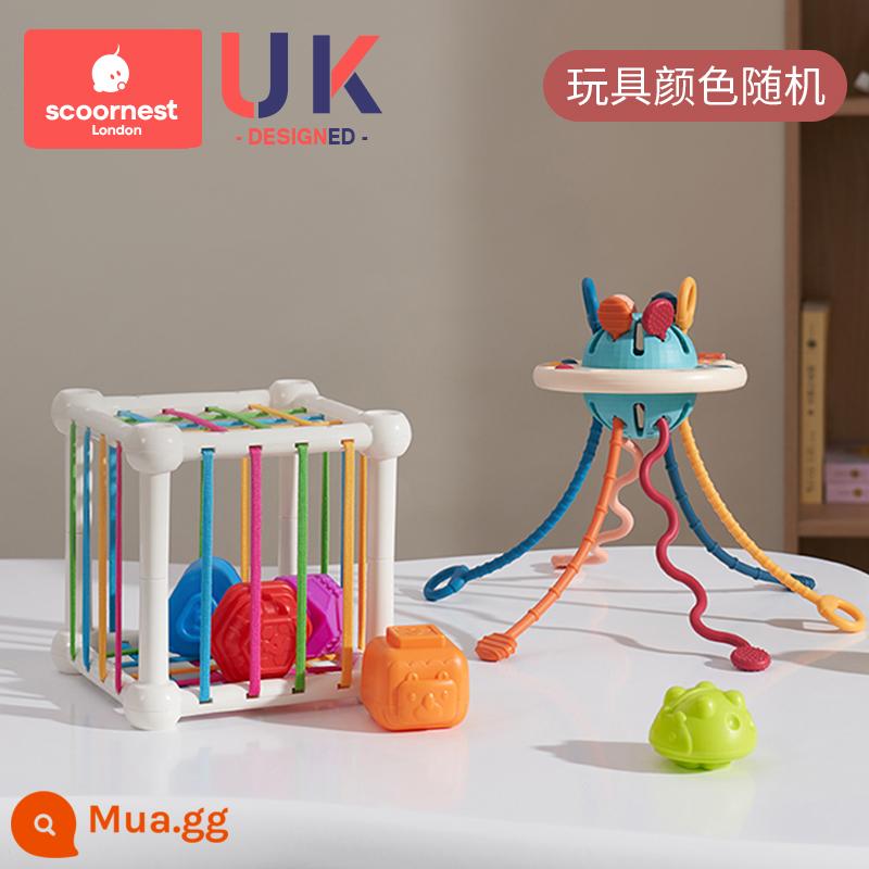 Kechao Baby Đồ Chơi Xếp Hình Hand Fine UFO Lalale 3 Xếp Hình Cho Bé 0-1 Tuổi Giáo Dục Sớm 6 Tháng - Baldoni A3+ Ceseile (Sâu bướm dễ thương)