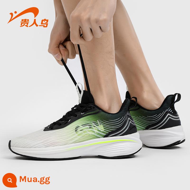 Chim Cao Quý Dừa Sneakers Bắp Rang Giày Nam Mùa Hè Lưới Thoáng Khí Chạy Bộ Chống Sốc Nam Giày Chạy Bộ Cũ - đen/xanh huỳnh quang/trắng