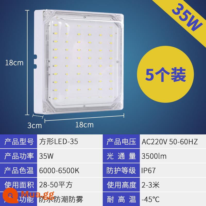 Đèn thư viện lạnh Đèn LED Đèn lồng đóng băng đặc biệt, không thấm nước, nhiệt độ rộng nhiệt độ thấp -Temperative Bop Muff Phòng trang điểm ba đèn chống - [Giảm 5 chiếc] Đèn trắng vuông 35w độ sáng cao