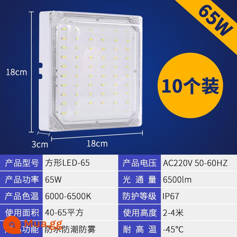 Đèn thư viện lạnh Đèn LED Đèn lồng đóng băng đặc biệt, không thấm nước, nhiệt độ rộng nhiệt độ thấp -Temperative Bop Muff Phòng trang điểm ba đèn chống - [Giảm 10 cái] Đèn vuông trắng 65w độ sáng cao