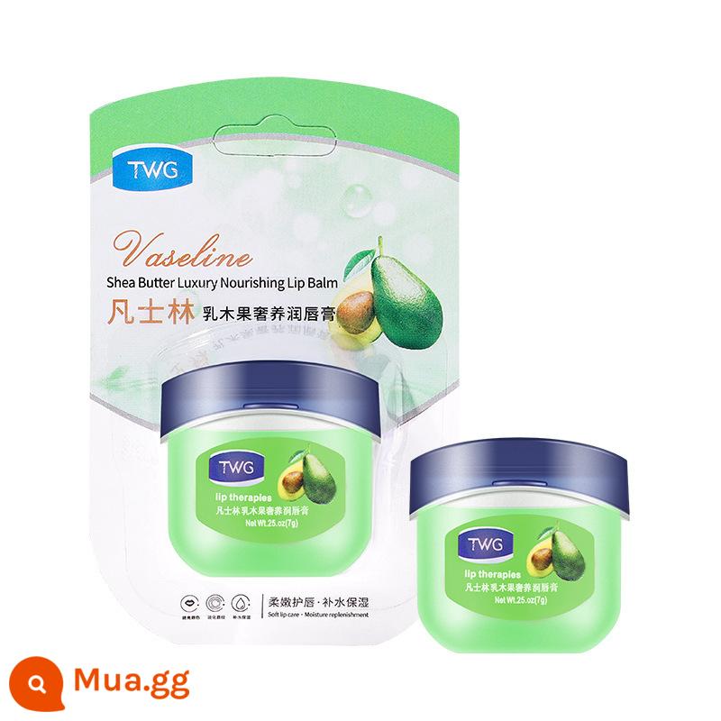 Son dưỡng môi Vaseline dành cho nam và nữ son dưỡng ẩm và dưỡng ẩm chống khô sửa chữa màng môi trẻ em hàng chính hãng chính hãng flagship store - [Chai đơn] Bơ hạt mỡ