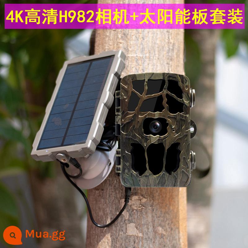 Camera hồng ngoại 4K HD H982 camera giám sát ngoài trời núi rừng vườn cây ăn quả ao kho cảm biến chống trộm ảnh - màu xanh lợt