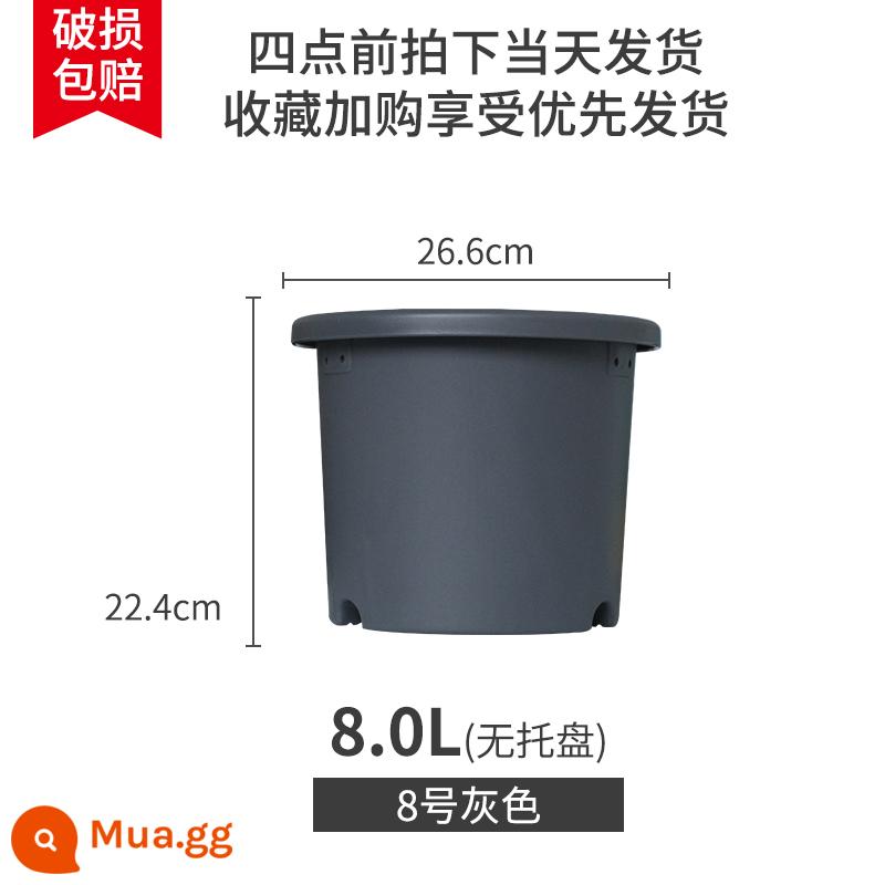 IRISDeepot Bắc Âu điều khiển đơn giản gốc nhựa gallon nồi hoa hồng tú cầu vàng Ge Alice chậu hoa nhựa - Xám nhạt số 8 xám