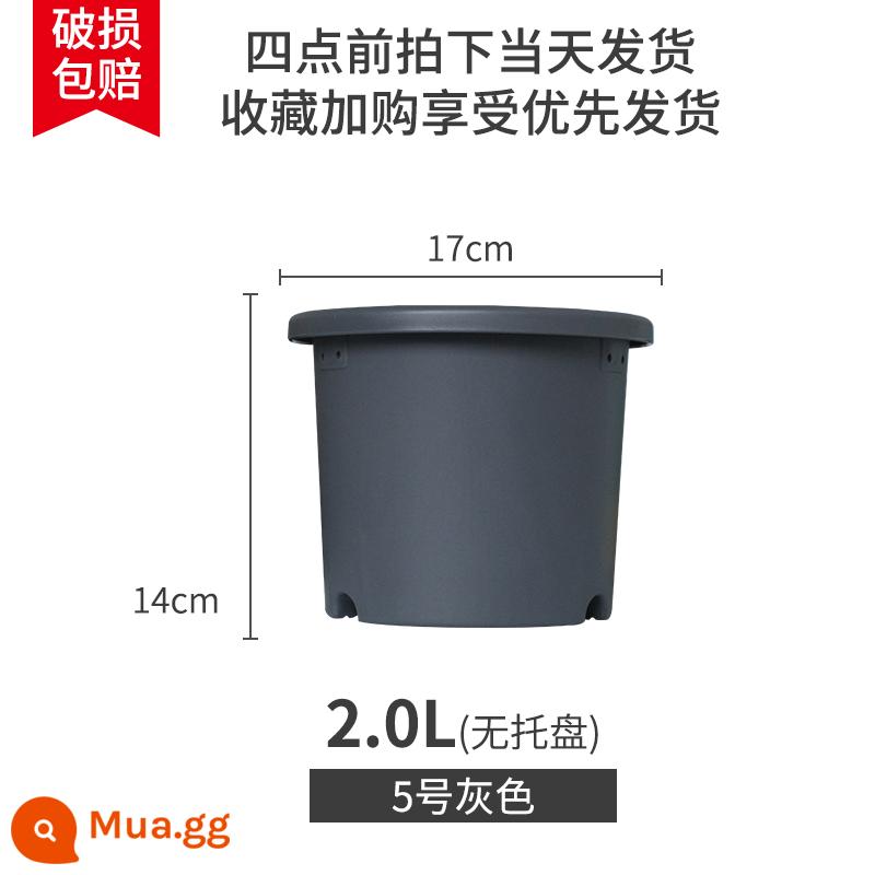 IRISDeepot Bắc Âu điều khiển đơn giản gốc nhựa gallon nồi hoa hồng tú cầu vàng Ge Alice chậu hoa nhựa - Số 5 màu xám