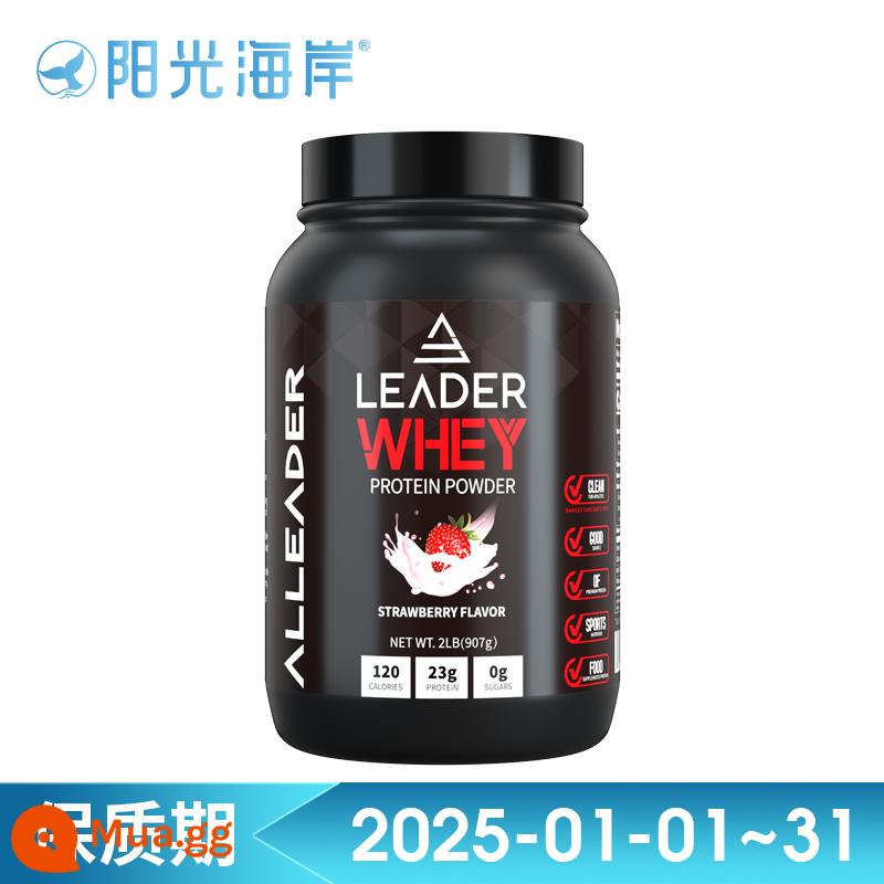 TRÊN optimon gold whey protein bột thể hình bột xây dựng cơ bắp bột dinh dưỡng bột xây dựng cơ bắp WHEY5 lbs/lon dành cho người lớn - 2 pound hương dâu