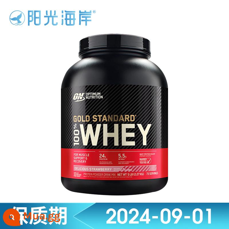 TRÊN optimon gold whey protein bột thể hình bột xây dựng cơ bắp bột dinh dưỡng bột xây dựng cơ bắp WHEY5 lbs/lon dành cho người lớn - Hương dâu 2270g/5 pound