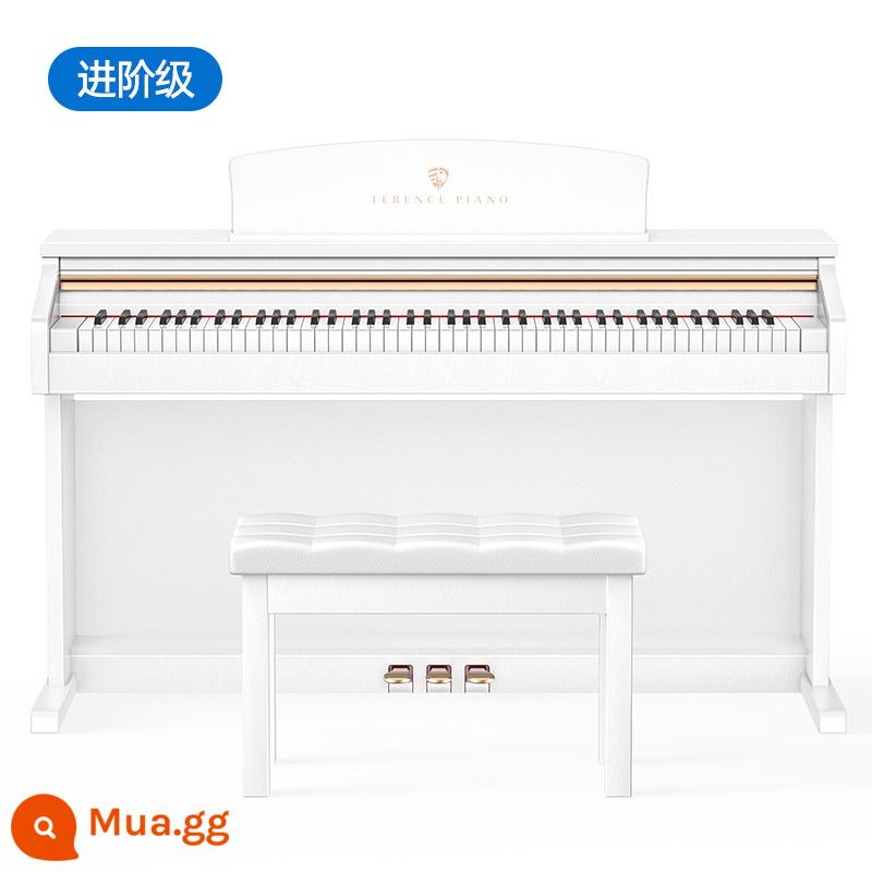 Đàn Piano Điện Tử Terence Heavy Hammer 88 Phím Thi Chứng Chỉ Chuyên Nghiệp Người Mới Bắt Đầu Tại Nhà Mẫu Giáo Đàn Piano Điện Tử Kỹ Thuật Số Đặc Biệt - [Lớp nâng cao] Thời trang trắng