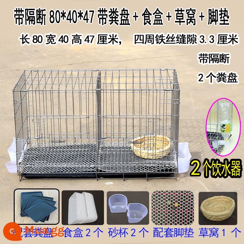 Pigeon lồng lồng sinh sản chim bồ câu cặp lồng giải phóng mặt bằng lồng lớn lớn chăn nuôi chim bồ câu lồng miễn phí vận chuyển lồng chim bồ câu hộ gia đình - Khay phân 80*40*47, dụng cụ ăn uống, thảm lót chân tổ rơm có vách ngăn