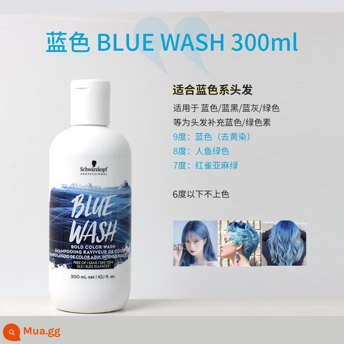 Dầu gội cố định màu Schwarzkopf bảo vệ màu tóc nhuộm xám xanh hồng tím màu bổ sung cho selune vàng - Dầu Gội Xanh [Chính Hãng 300ml] Schwarzkopf