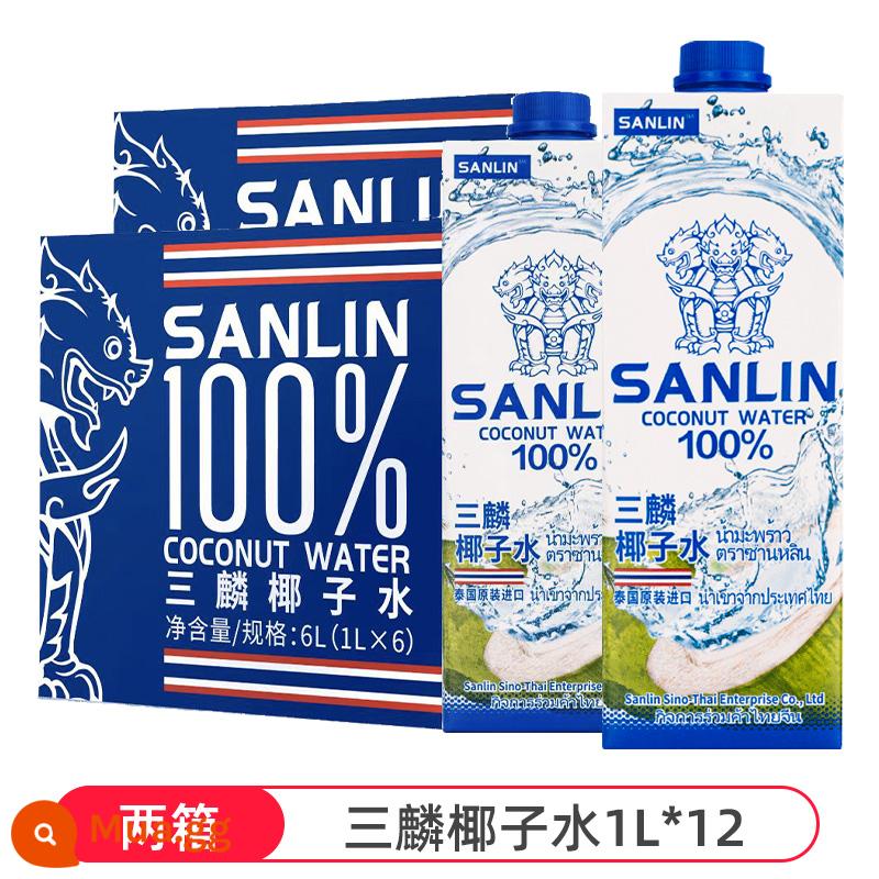 [Tự vận hành] Nước Dừa Sanlin 100% Thái Lan Bổ Sung Nước Điện Giải Cho Trẻ Em Nước Giải Khát Nước Dừa Nguyên Chất Nhập Khẩu FCL - [Hai hộp] Nước dừa Sanlin 1L*12