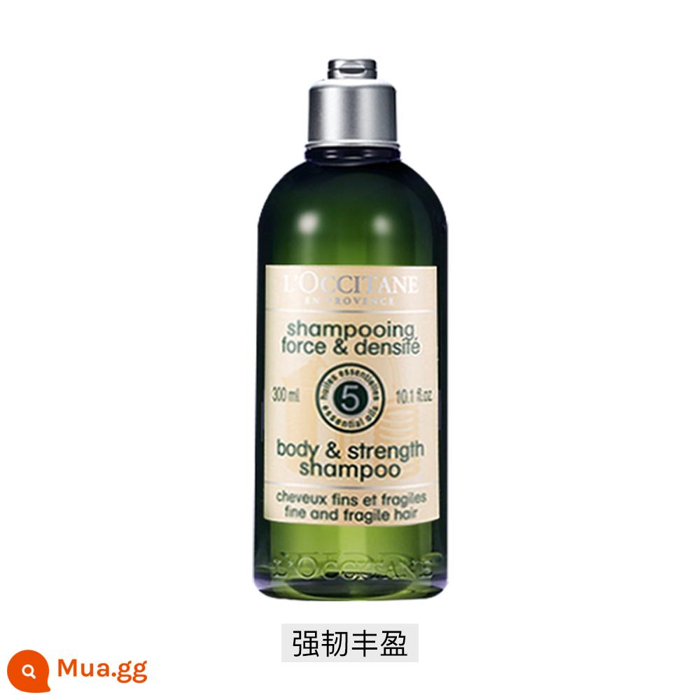 [Tự vận hành] Dầu gội tinh chất thảo dược 5 trong 1 L'Occitane Cân bằng tinh khiết 300ml Kiểm soát dầu và chống gàu phong phú và mịn màng - Dầu gội tăng cường và tạo độ phồng thảo dược