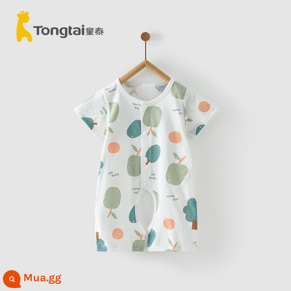 Tongtai quần áo trẻ em mùa hè 1-18 tháng nam và nữ áo liền quần cotton nguyên chất ngắn tay áo liền quần nhẹ và thoáng khí - Bộ áo liền quần không đáy-Xiaoshu (cotton nguyên chất)