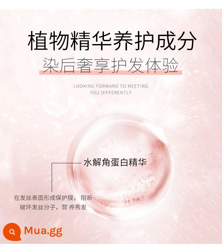 Thuốc tẩy trắng dạng bột màu nâu bong bóng thuốc nhuộm tóc nguyên chất phổ biến làm trắng không gây kích ứng màu trà đen tại nhà để nhuộm phụ nữ - Bộ thứ 2 nửa giá, vui lòng lưu ý màu sắc