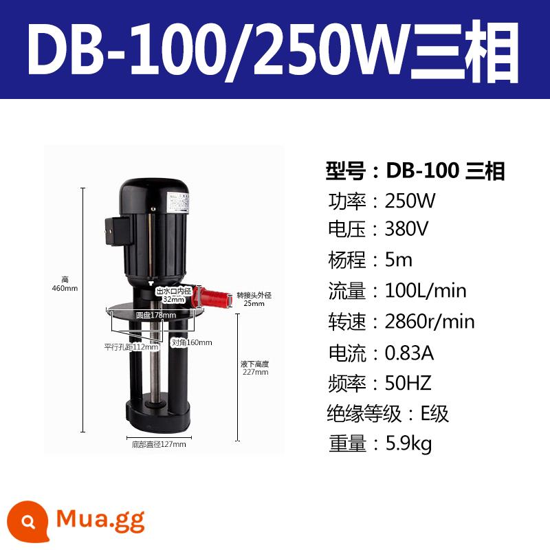 Leibao DB ABJCB máy mài bơm dầu làm mát bơm cắt dây chu kỳ ba pha bơm điện 220V380V bơm nước - DB-100/250W380V