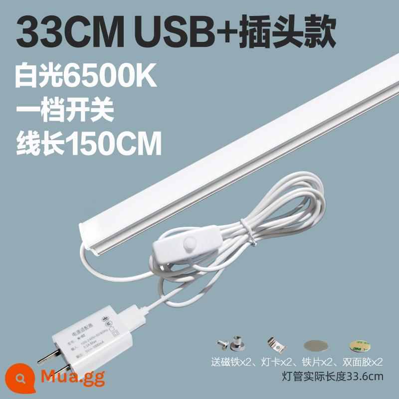 Thoáng Mát Đèn LED Để Bàn Ống USB Ký Túc Xá Sinh Viên Bảo Vệ Mắt Ánh Sáng Trắng Vô Cấp Mờ Dải Phòng Ngủ Hiện Đại Cắm Đèn - Đèn trắng 33cm [công tắc đầu tiên] phích cắm USB+