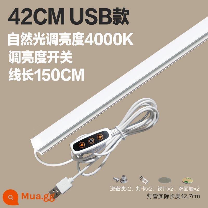 Thoáng Mát Đèn LED Để Bàn Ống USB Ký Túc Xá Sinh Viên Bảo Vệ Mắt Ánh Sáng Trắng Vô Cấp Mờ Dải Phòng Ngủ Hiện Đại Cắm Đèn - Ánh sáng tự nhiên 42cm [điều chỉnh độ sáng] Mẫu USB