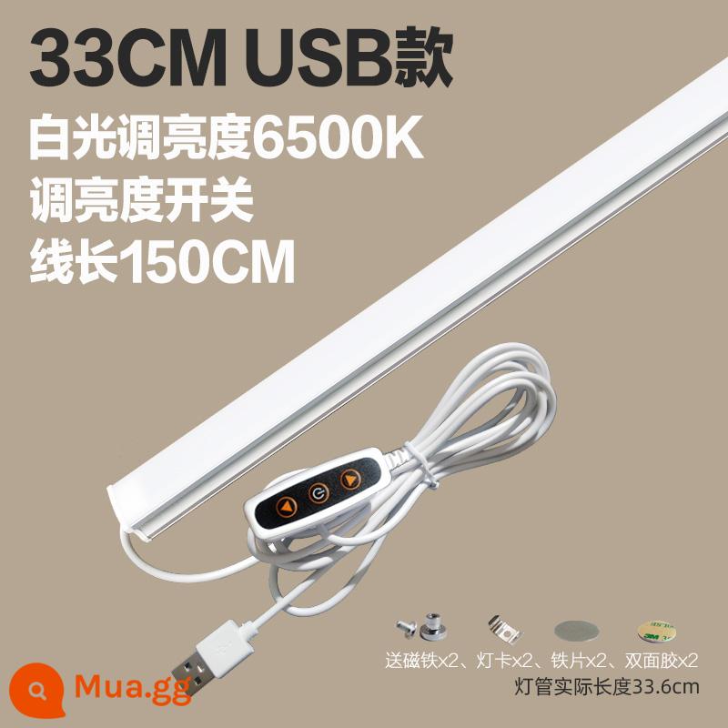 Thoáng Mát Đèn LED Để Bàn Ống USB Ký Túc Xá Sinh Viên Bảo Vệ Mắt Ánh Sáng Trắng Vô Cấp Mờ Dải Phòng Ngủ Hiện Đại Cắm Đèn - Ánh sáng trắng 33cm [điều chỉnh độ sáng] Mẫu USB