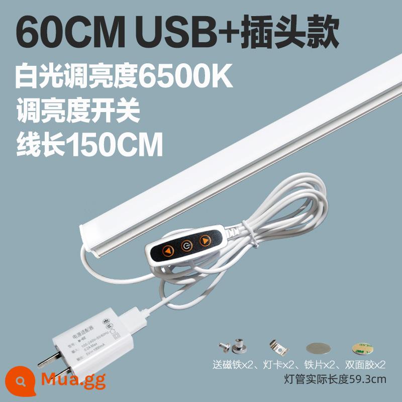 Thoáng Mát Đèn LED Để Bàn Ống USB Ký Túc Xá Sinh Viên Bảo Vệ Mắt Ánh Sáng Trắng Vô Cấp Mờ Dải Phòng Ngủ Hiện Đại Cắm Đèn - Đèn trắng 60 cm [điều chỉnh độ sáng] Đầu cắm USB+