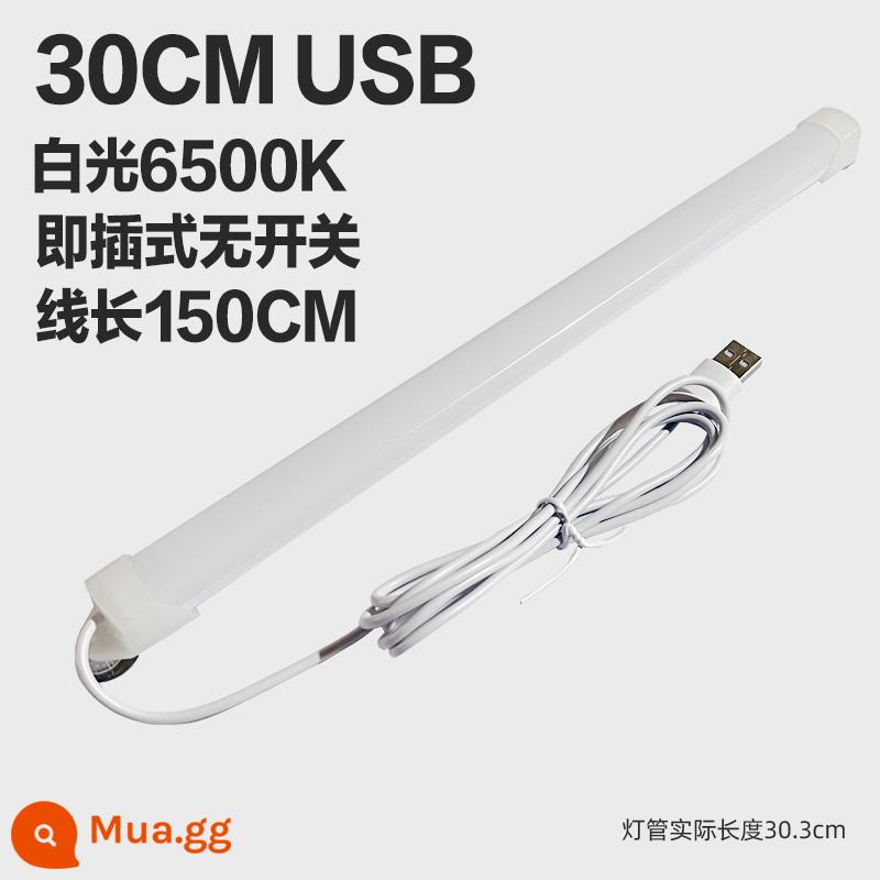 Thoáng Mát Đèn LED Để Bàn Ống USB Ký Túc Xá Sinh Viên Bảo Vệ Mắt Ánh Sáng Trắng Vô Cấp Mờ Dải Phòng Ngủ Hiện Đại Cắm Đèn - Đèn trắng 30 cm [không có công tắc] Mẫu USB