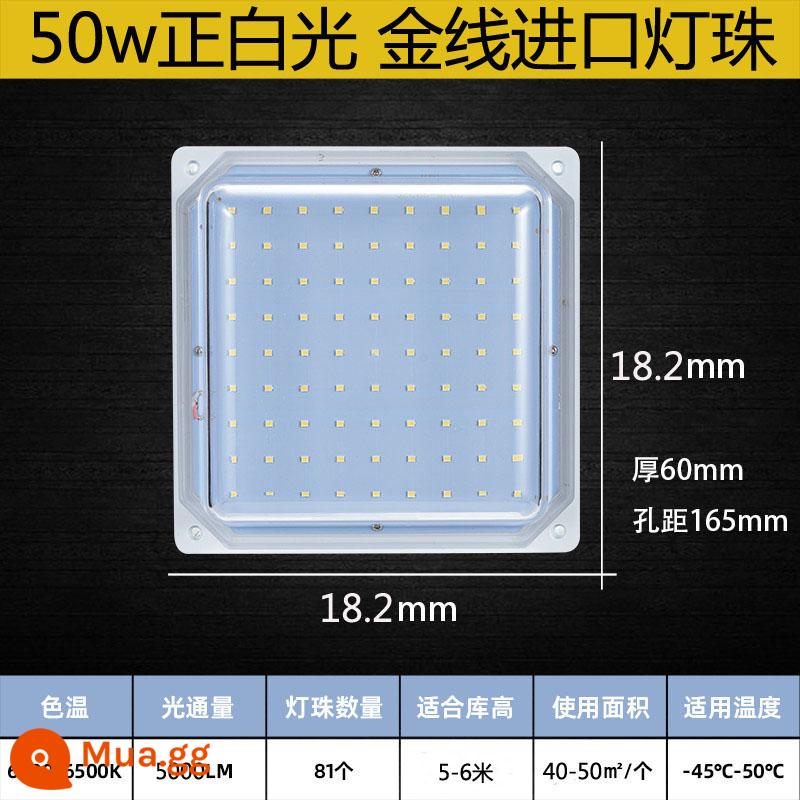 Đèn LED tủ lạnh 10w chống thấm nước, chống ẩm và chiếu sáng chống cháy nổ phòng tắm đèn ba ngăn tủ lạnh nhà máy nhiệt độ thấp đèn đặc biệt - Đèn vuông 50W (ánh sáng trắng dương) 220v