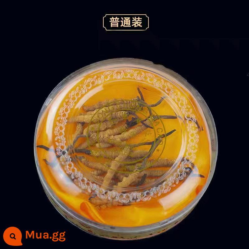 Hộp quà tặng lễ hội đông trùng hạ thảo Naqu Cordyceps hoang dã giai đoạn đầu chính hãng Cordyceps sinensis - Cỏ Tứ Xuyên chọn lọc cỏ vỡ lớn gói 10g [giá cả phải chăng để tự ăn]