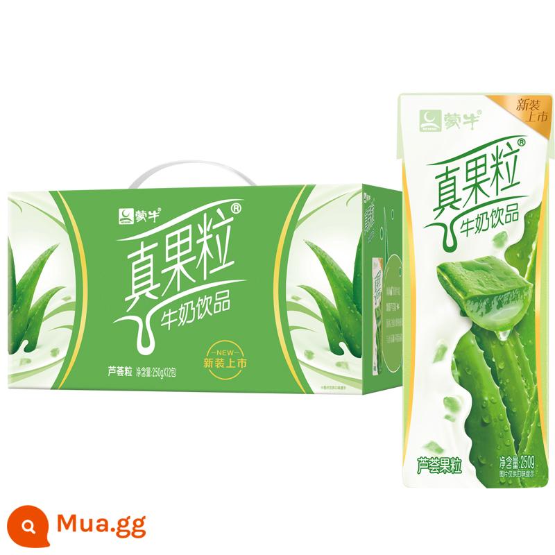 Sữa chua uống April Mengniu real fruit milk 250g*12 hộp nguyên hộp dâu việt quất đào vàng sữa ăn sáng cho học sinh - Hương nha đam sản xuất tháng 6*1 hộp