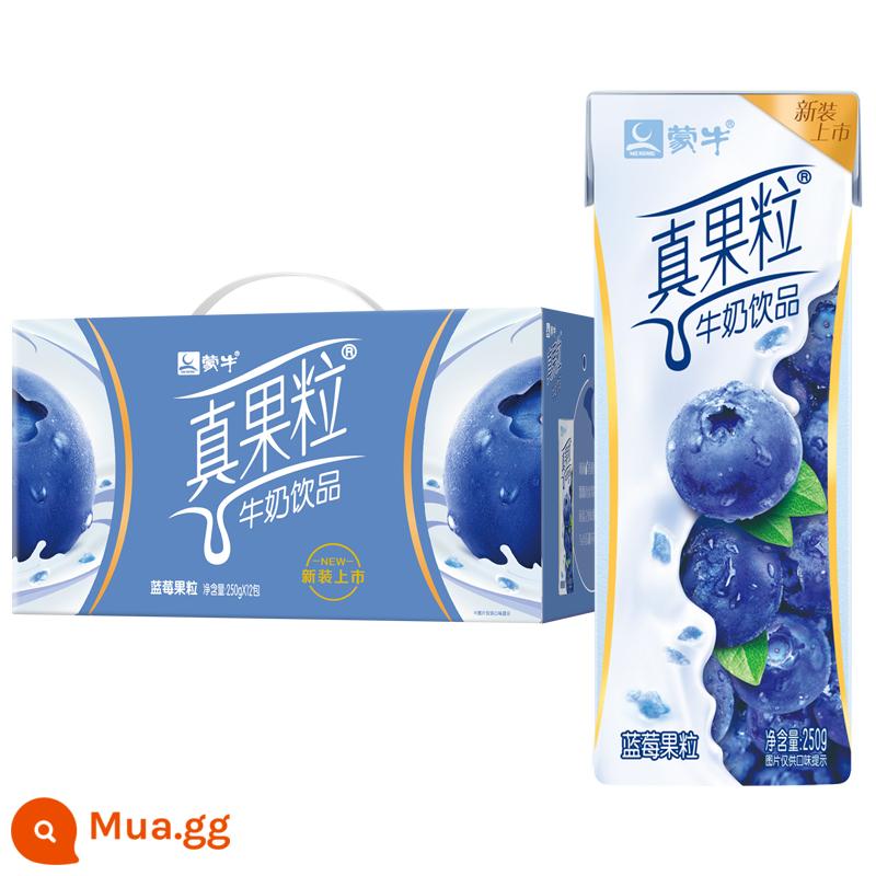 Sữa chua uống April Mengniu real fruit milk 250g*12 hộp nguyên hộp dâu việt quất đào vàng sữa ăn sáng cho học sinh - Hương việt quất sản xuất tháng 6*1 hộp