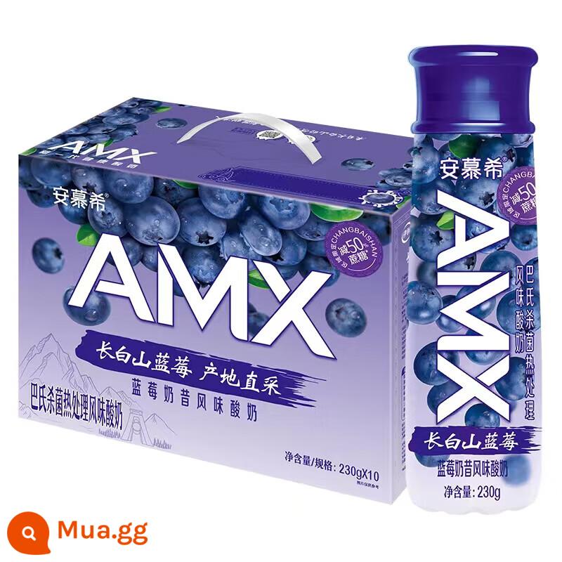 Ilian Muxi AMX Núi Trường Bạch Sữa Lắc Vị Việt Quất 230G * 10 Chai Hộp Quà Tặng Với Nhiều Hương Vị Khác Nhau - [Ra mắt sản phẩm mới] Quả việt quất núi Anmuxi Trường Bạch