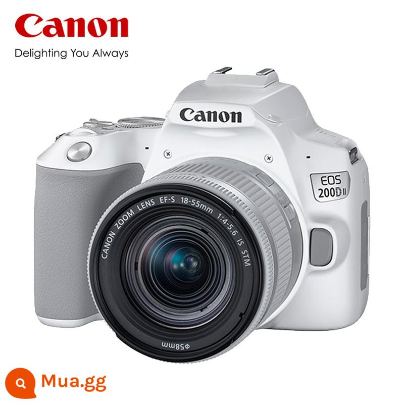 Máy ảnh một mắt cấp nhập cảnh thế hệ thứ hai của Canon 200d máy ảnh du lịch kỹ thuật số độ nét cao ống kính kép ống nhổ nhỏ 431 - Trắng