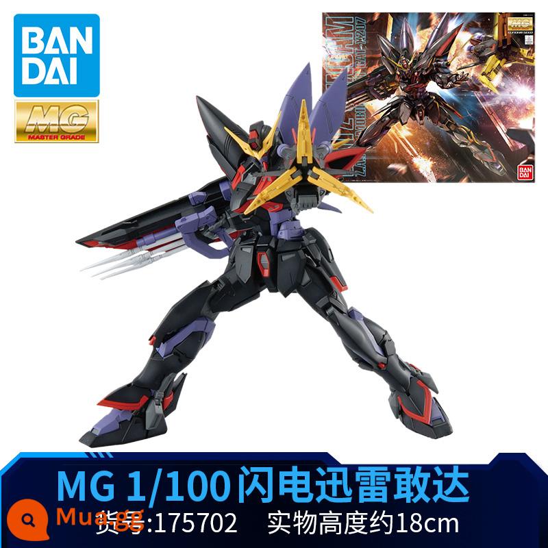 Mô hình lắp ráp Bandai Gundam MG 1/100 Air Combat Strike Assault Gundam Holy Shield Lightning Storm Duel - Sét Sấm sét HGD-175702